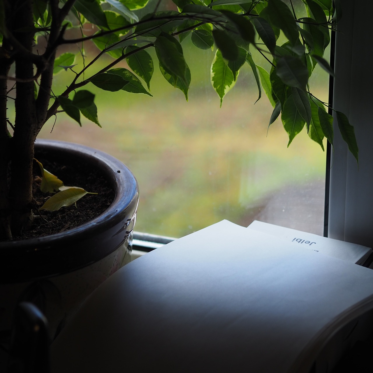 Local Citations for Canadian Businesses: The Complete Guide