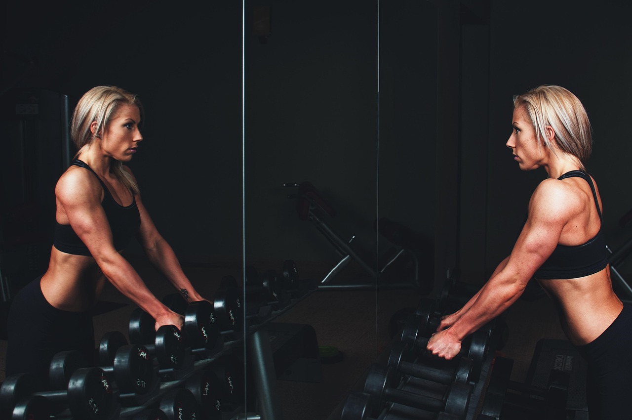 training — muscles — arms — blonde — bar bells — workout — fitness — exercise — sport — gym — strong — young — woman — person