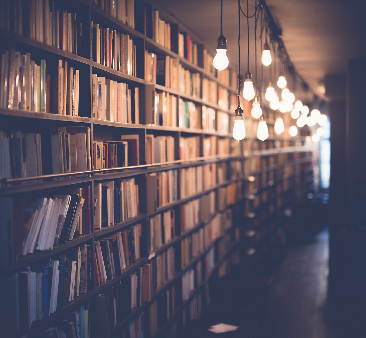 Private School SEO Canada: Attract Enrolment Applications Online